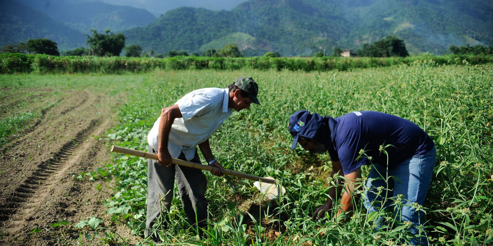 Brazil: family farming is 8th largest food producer in the world