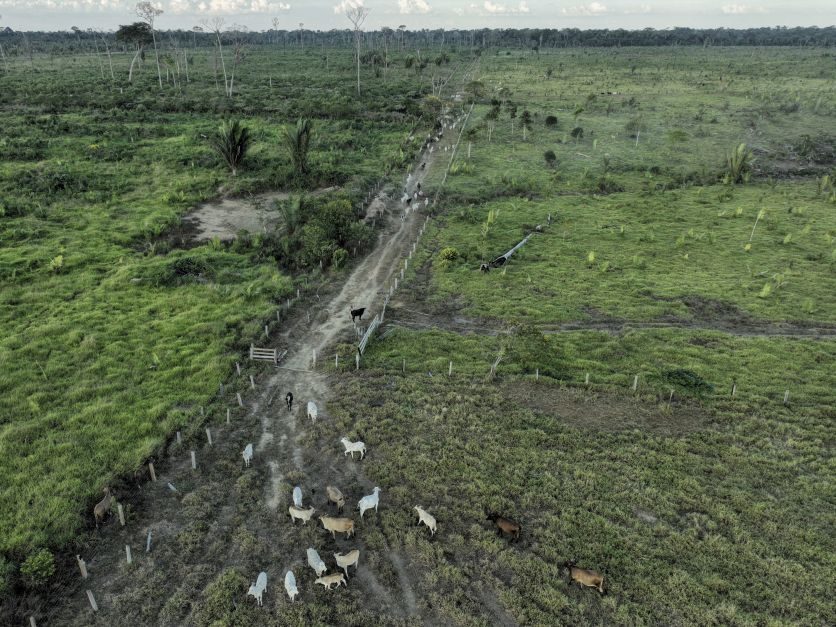 USTR investigates Brazil's deforestation for possible trade penalties